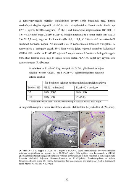 dr. Zádori Anita - Semmelweis Egyetem Doktori Iskola