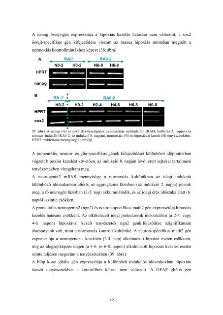 dr. Zádori Anita - Semmelweis Egyetem Doktori Iskola