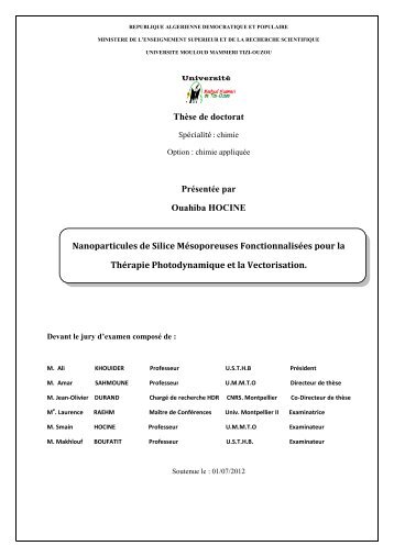 Nanoparticules de Silice MÃ©soporeuses FonctionnalisÃ©es pour la
