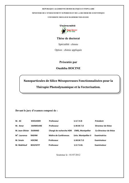 Nanoparticules de Silice MÃ©soporeuses FonctionnalisÃ©es pour la