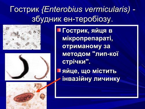 Медична гельмінтологія.Плоскі черви –паразити людини.