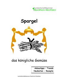 Spargel