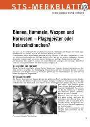 Bienen, Hummeln, Wespen und Hornissen - Schweizer Tierschutz ...