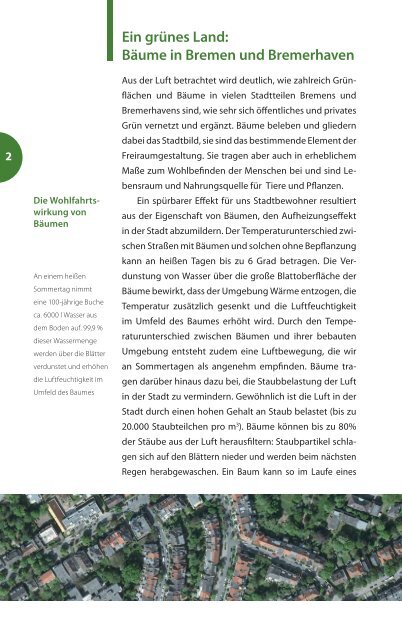 Baumschutzfibel (pdf, 4.8 MB) - Bremen