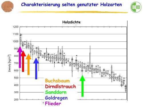 Historische Holzverwendung