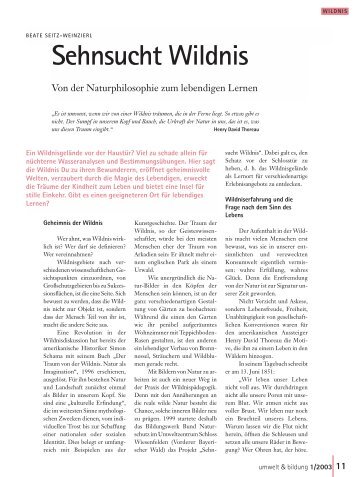 Sehnsucht Wildnis