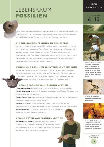 LEBENSRAUM FOSSILIEN