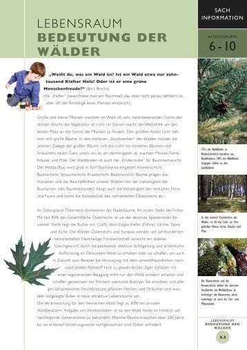 LEBENSRAUM BEDEUTUNG DER WÄLDER