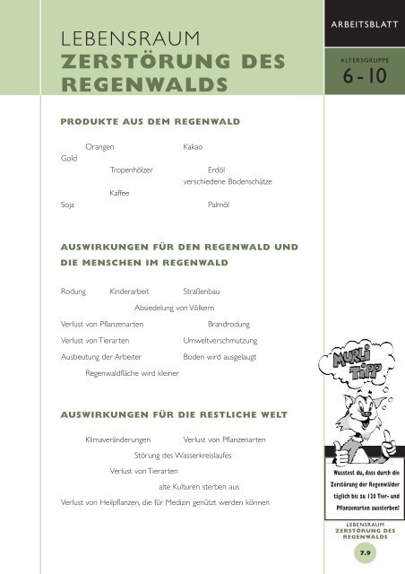 Zerstörung des Regenwaldes