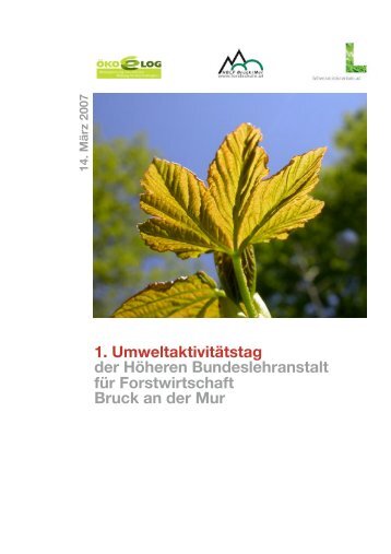 Umweltaktivitätstag Bruck an der Mur