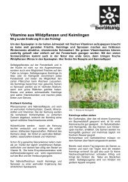 Vitamine aus Wildpflanzen und Keimlingen - Umweltprofis