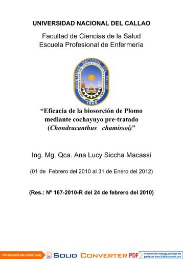 IF_SICCHA MACASSI_FCS.pdf - Universidad Nacional del Callao.
