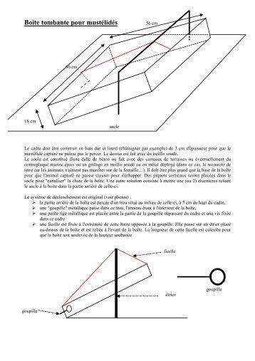 Boîtes tombantes pour mustélidés - Unapaf