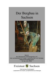 Der Bergbau in Sachsen - Unbekannter Bergbau