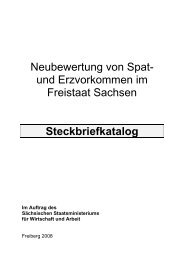 Neubewertung von Spat- und Erzvorkommen im Freistaat Sachsen