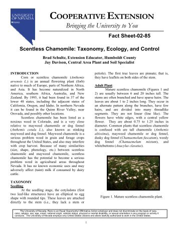 Scentless Chamomile: Taxonomy, Ecology, and Control