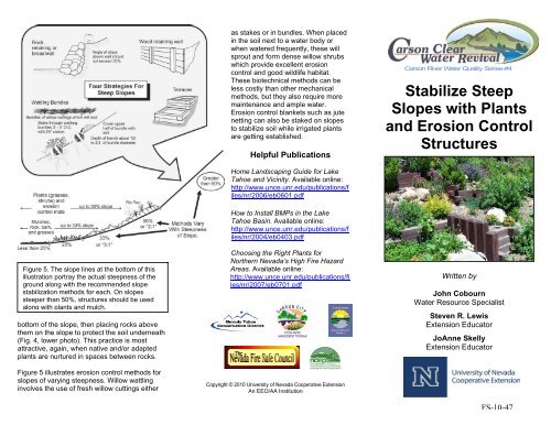 Stabilize Steep Slopes with Plants and Erosion Control Structures