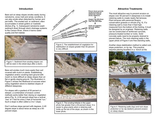 Stabilize Steep Slopes with Plants and Erosion Control Structures