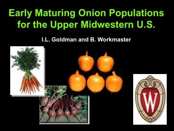 Early Maturing Onion Populations for the Upper Midwestern U.S.