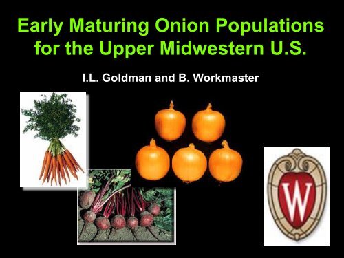 Early Maturing Onion Populations for the Upper Midwestern U.S.