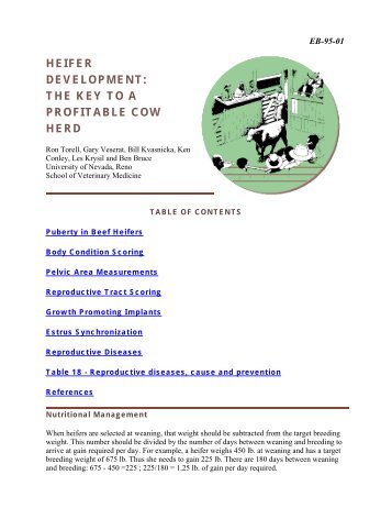 The Key to a Profitable Cow Herd - University of Nevada ...