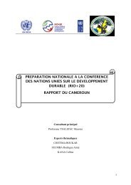 RIO+20_rapport final_Cameroon - United Nations Sustainable ...