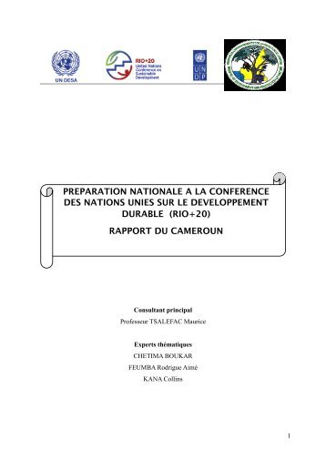 RIO+20_rapport final_Cameroon - United Nations Sustainable ...