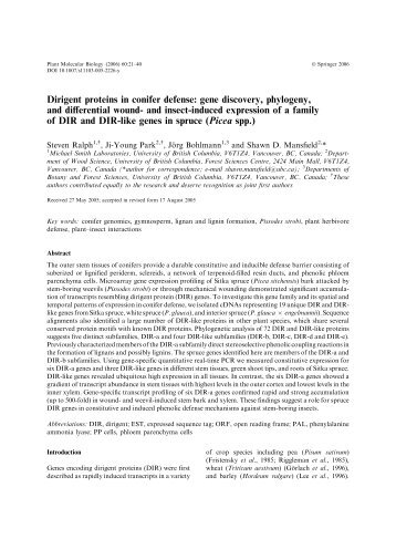 Dirigent proteins in conifer defense: gene discovery, phylogeny, and ...