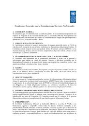 Condiciones Generales para Servicios Profesionales - PNUD