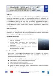 BSTIP_Brochure - UNDP Black Sea Trade and Investment ...