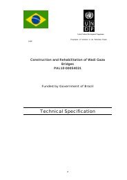 Technical Specification - UNDP