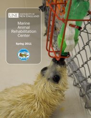 Marine Animal Rehabilitation Center - University of New England