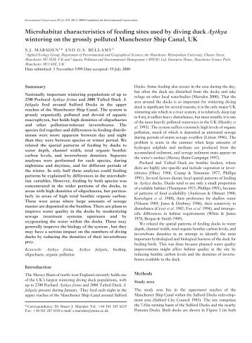 Microhabitat characteristics of feeding sites used by diving duck ...