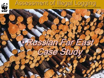 Assessment of Illegal Logging