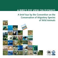 A biRd's EYE ViEW on FlYWAYs - AEWA