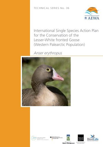International Single Species Action Plan for the ... - AEWA