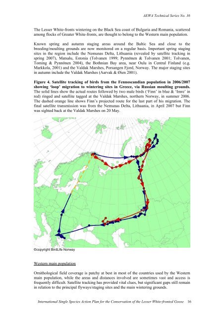 International Single Species Action Plan for the ... - AEWA