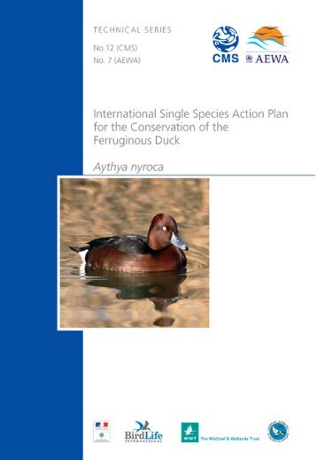 Ferruginous Duck - Convention on Migratory Species