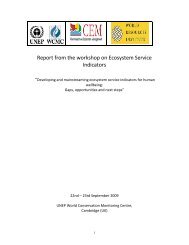 Report from the workshop on Ecosystem Service Indicators