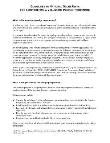 guidelines to national ozone units for administering a ... - DTIE