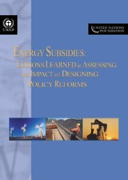 Energy Subsidies: Lessons Learned in Assessing their Impact - UNEP