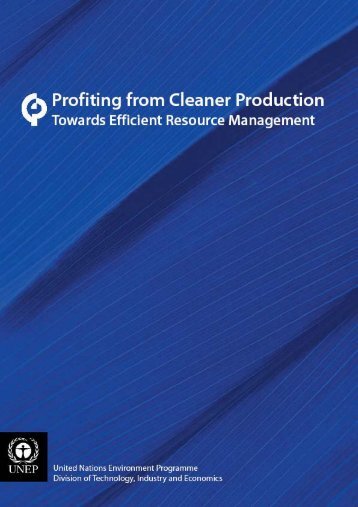 Financing Cleaner Production