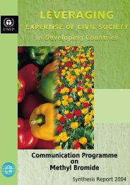 Communication Programme on Methyl Bromide - UNEP