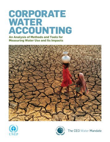 Corporate Water Accounting: An Analysis of Methods and Tools for ...