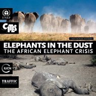 'Elephants in the Dust' report - UNEP