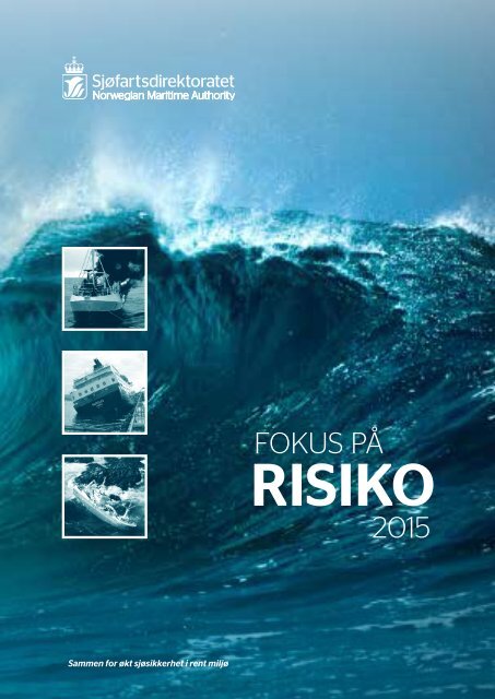 Fokus på risiko 2015