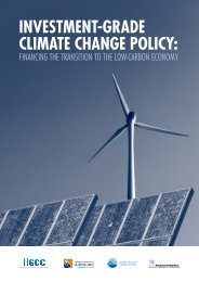 Investment-grade Climate Change Policy - UNEP Finance Initiative