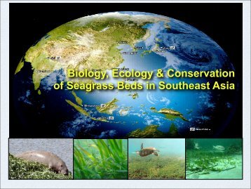 Biology, Ecology & Conservation of Seagrass Beds in Southeast Asia