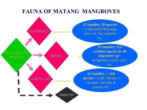 Management of the Matang Mangrove Forest