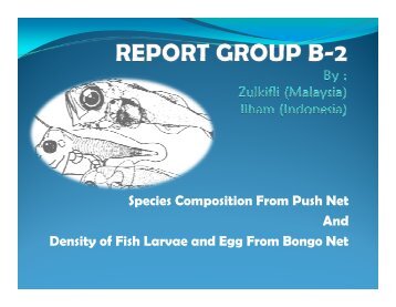 Species Composition From Push Net And Density of Fish Larvae ...